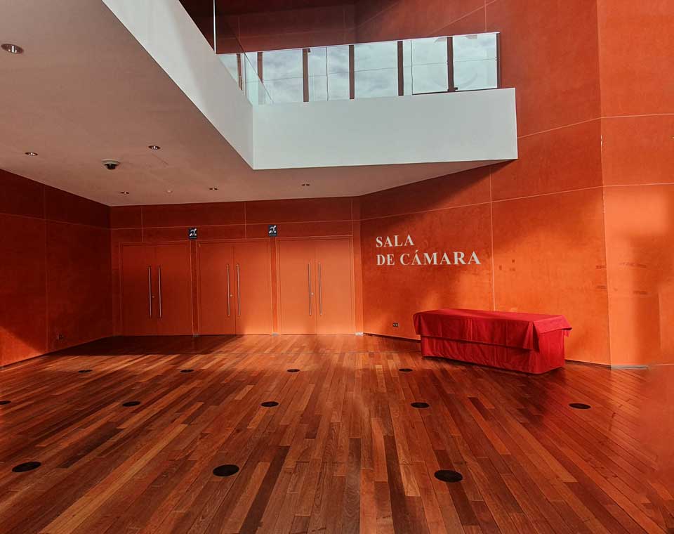 Sala de Cámara CC Miguel Delibes de Valladolid. Puerta de acceso